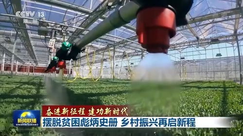 聯播丨擺脫貧困彪炳史冊 鄉村振興再啟新程 農副產品