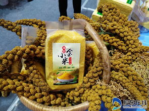 高清圖美翻了！果蔬會上奇瓜異果引爆眼球，農副產(chǎn)品煥發(fā)新光彩