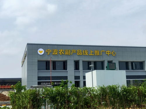寧波農副產(chǎn)品物流中心一期試運營開啟 農產(chǎn)品流通新樞紐，便捷交通指南助您暢行